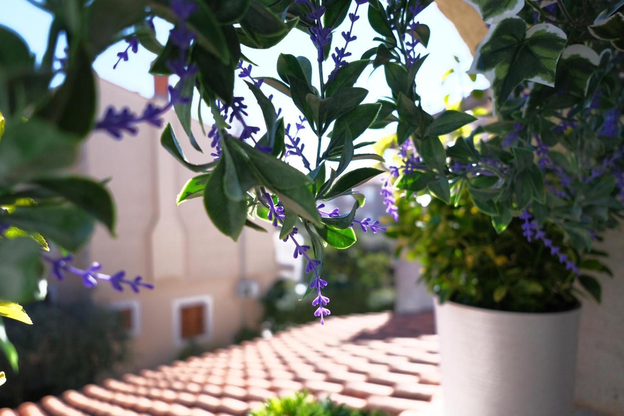 AP Silvija Appartement Zadar Buitenkant foto
