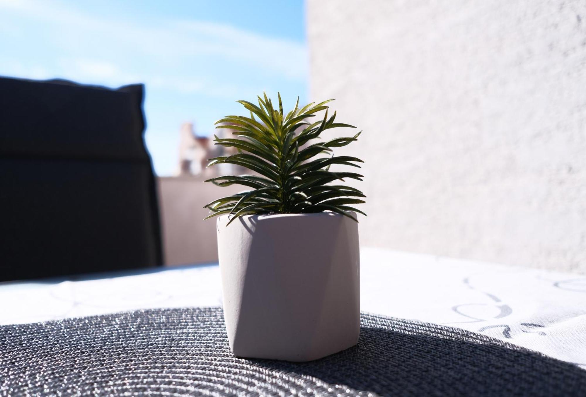 AP Silvija Appartement Zadar Buitenkant foto